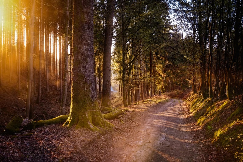 Nature Connection